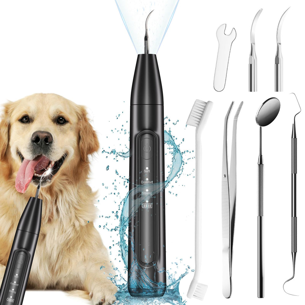 Ganciu dog plaque remover front view in black for at-home dental cleaning.