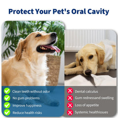 Ganciu Dog Plaque Remover LED light close-up for brighter cleaning visibility.