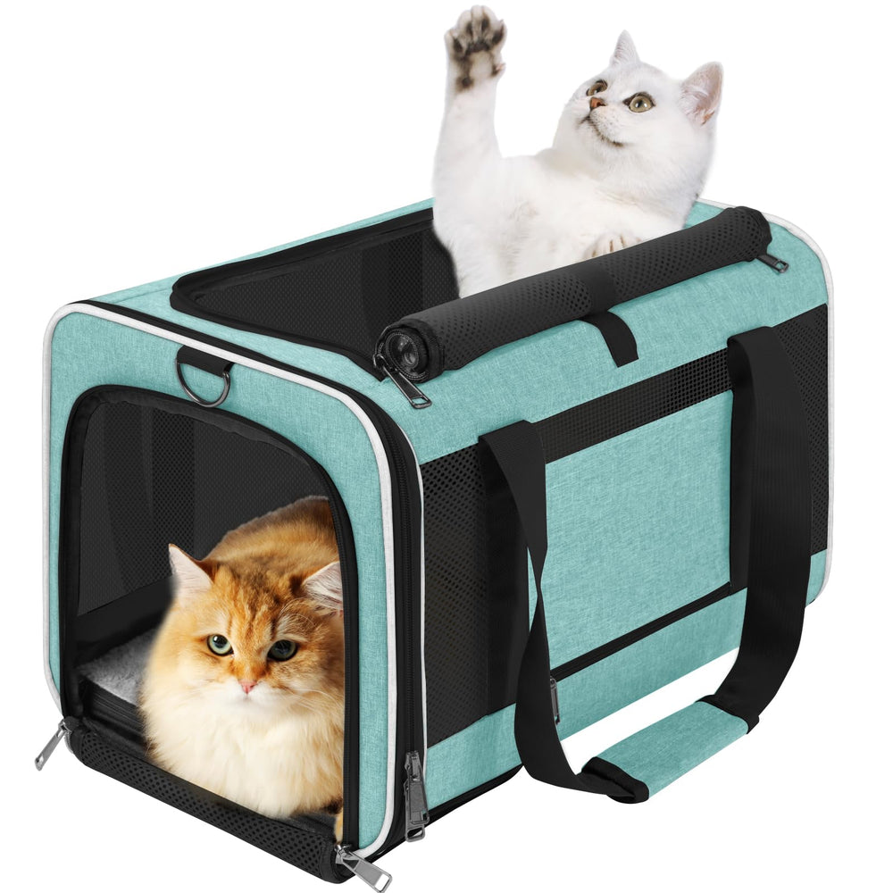 GAPZER soft cat carrier front view in teal aqua for easy travel