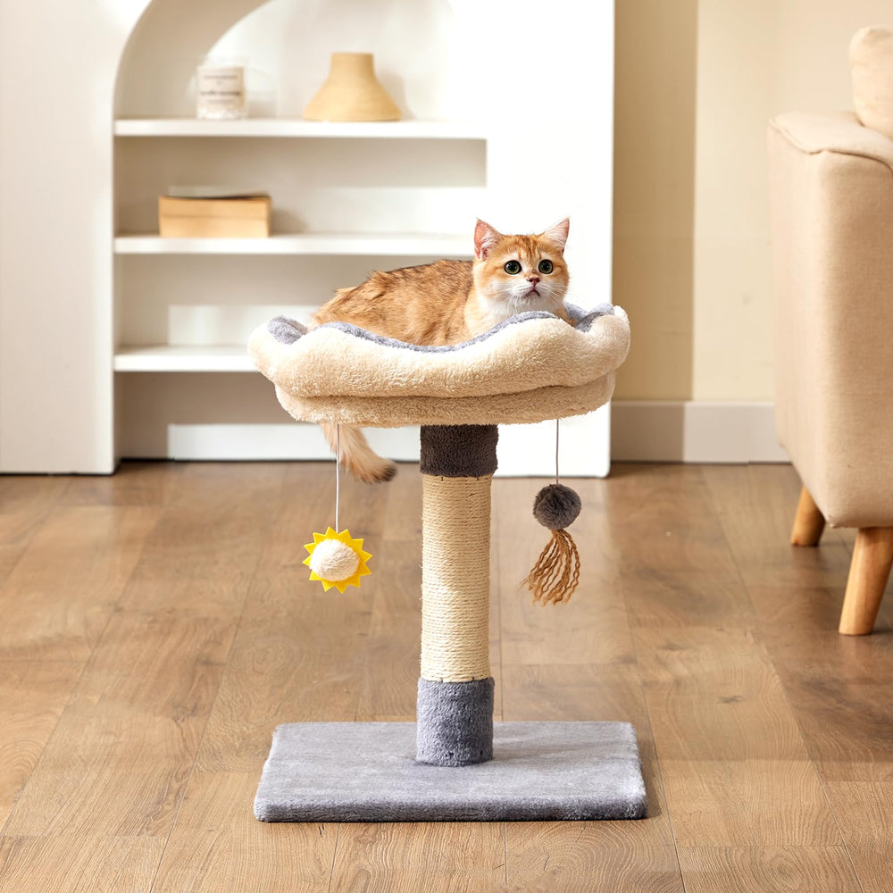 Gardner Pet 20-inch cat tree base with solid wood stability for safe kitten leaps
