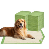Gardner Pet adhesive-design pee pad securely sticks in place for training and mess-free use