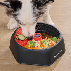 Gardner Pet suction base in action preventing slips during meals