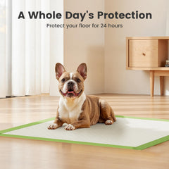 Gardner Pet double leak-proof pad with four-sided barriers protects floors.