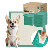 Gardner Pet pee pad with strong adhesion showing secure placement during playtime
