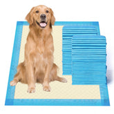 Gardner Pet ultra-absorbent blue pad, 28x34, ideal for quick liquid absorption during puppy training.