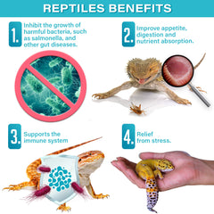 Gargeer Reptile Probiotics mixed-into-food scene suggests smoother digestion.