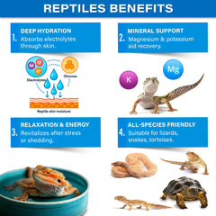Gargeer ReptiSoak happy reptile after soak demonstrates improved mobility and vitality.