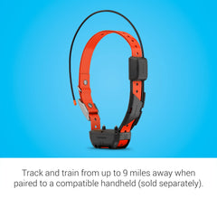 Garmin Alpha TT 25 LED colors image shows night visibility and quick dog identification