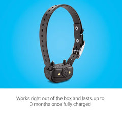 Garmin BarkLimiter Deluxe bark-odometer, tracks barks to show training progress.