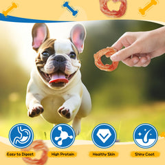 Gazeupon Dog Treats Chicken Jerky Rings dog chewing demonstrates engaging chew for focus.