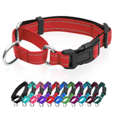 GDLKPS Reflective Martingale Collar buckle close-up for secure daily wear.