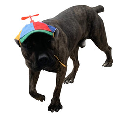 GEANBAYE adjustable buckle close-up shows secure fit for active dogs.