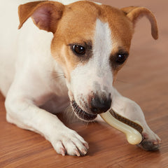 Geeyteek lifelike bone design dog chew enhancing engagement and reducing boredom.