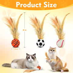 Generic cat-ball-toy in action with owner promoting bonding play.