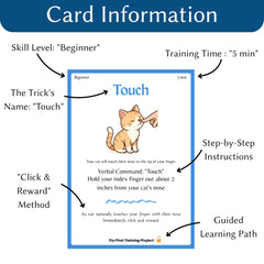 Generic Cat Clicker Training Kit clicker in hand enables positive reinforcement sessions.