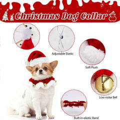 Generic cat costume wear-ready for photos, parties, or cozy daily outfits