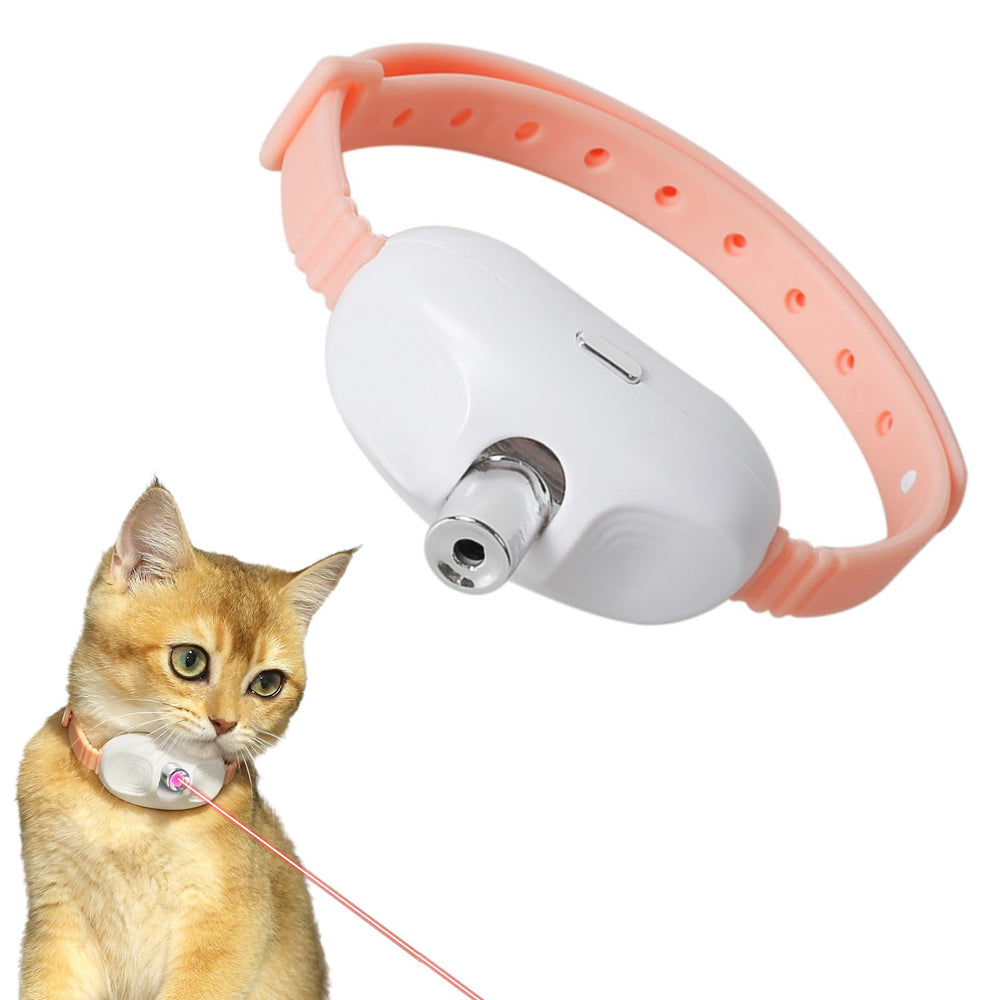 Generic cat laser collar worn by a playful kitten for hands-free exercise.