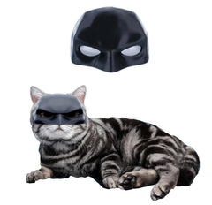 Generic Cat Mask front view for cosplay and photo ready looks.