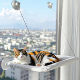 Generic Cats Window Perch demonstrates sturdy suction cups securing a view ready resting spot