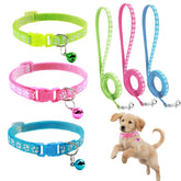 Generic dog collar-leash set pink close-up highlighting durable nylon for daily walks.