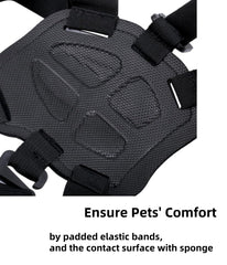 Generic Dog Harness Mount for Camera quick-release base highlights fast camera swaps during adventures.