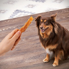 Generic Golden Rewards grain-free dog treats support weight-conscious diets.