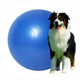 Generic Herding Ball 25inch durability for long-lasting outdoor play
