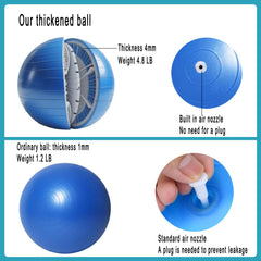 Generic Herding Ball 25inch 4mm thick material detail for tough sessions