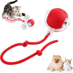 Generic Interactive Cat Ball Crimson front view for indoor play