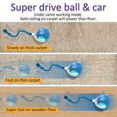 Generic Interactive Cat Toy Ball red accents highlight chirping feature attracting curious cats.