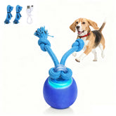 Generic Interactive Dog Ball on floor invites playful chasing and mental stimulation.