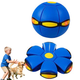 Generic Magic Ball dual-form ball and saucer in blue for versatile play