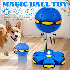 Generic Magic Ball six LED lights glow for nighttime fun and visibility