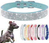 Generic small dog collar bling-band detail for stylish pets and occasions
