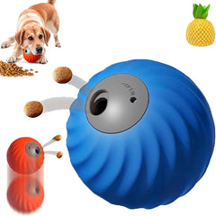 Generic Zoomie Buddy 2.0 ball-roll showing interactive play and slow-feeding benefits
