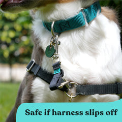 Gentle Creatures Collar Companion secure clip closeup for safety