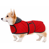 Geyecete Corgi Sweater warm fluffy cotton padding for cozy outdoor walks.
