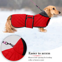 Geyecete dachshund coat fold-down neck shows extra warmth coverage.
