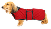 Geyecete dachshund coat front view offers waterproof warmth for chilly daily walks.