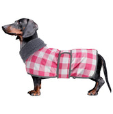 Geyecete dachshund winter coat on a dog with waterproof grid fabric for rainy walks