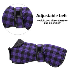 Geyecete greyhound coat adjustable bands demonstrating secure fit