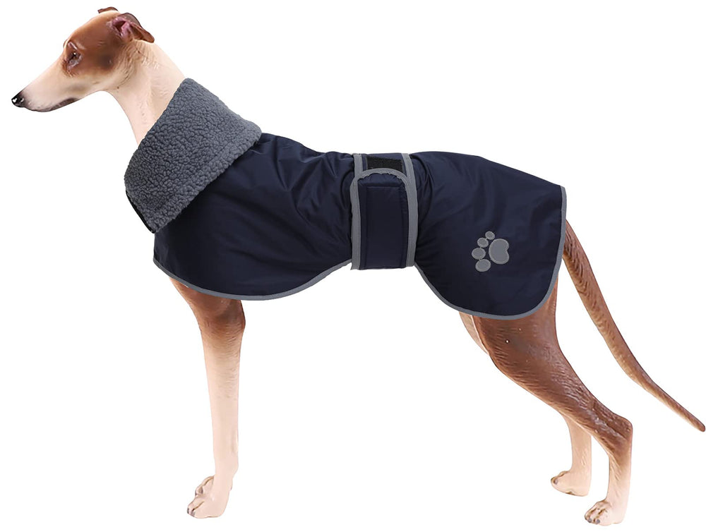 Geyecete greyhound raincoat with lamb velvet inside provides warm, cozy comfort for chilly walks.
