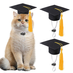 GIFTMISSU mini graduation cap with yellow tassel for small pets, ideal for photo moments.