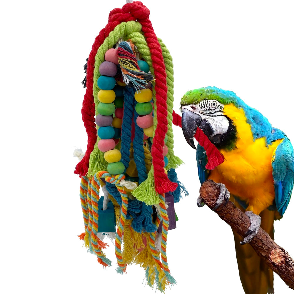 GILYGI parrot toy wood blocks for durable chewing and long-lasting playtime