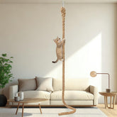 GINDOOR cat climbing rope wall-mount 9.8ft enables space-saving vertical play for apartments.