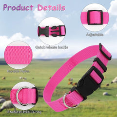 GINDOOR five-color collars differentiate goats and sheep on pasture