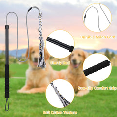 Dog engages in chasing action with Gingull Flirt Pole