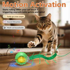 Giociv fast rolling on carpet keeps cats engaged during busy moments