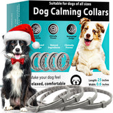 GIOVARA Calming Collar for Dogs in grey shown as a 4-pack for multi-dog households.