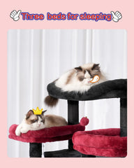 Gitelsnour cat-tree-cozy-baskets-hammocks create safe hideouts for naps